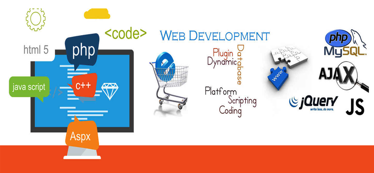 programing language institute meerut